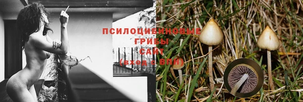 марки nbome Аркадак